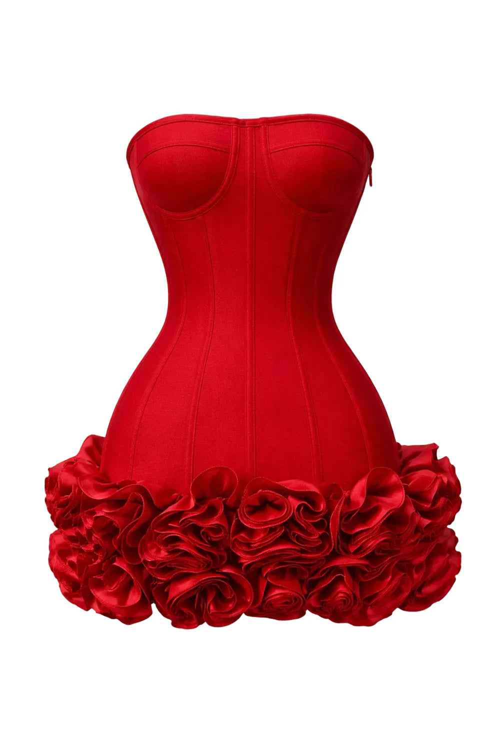 Scarlet Rose Corset Mini Dress